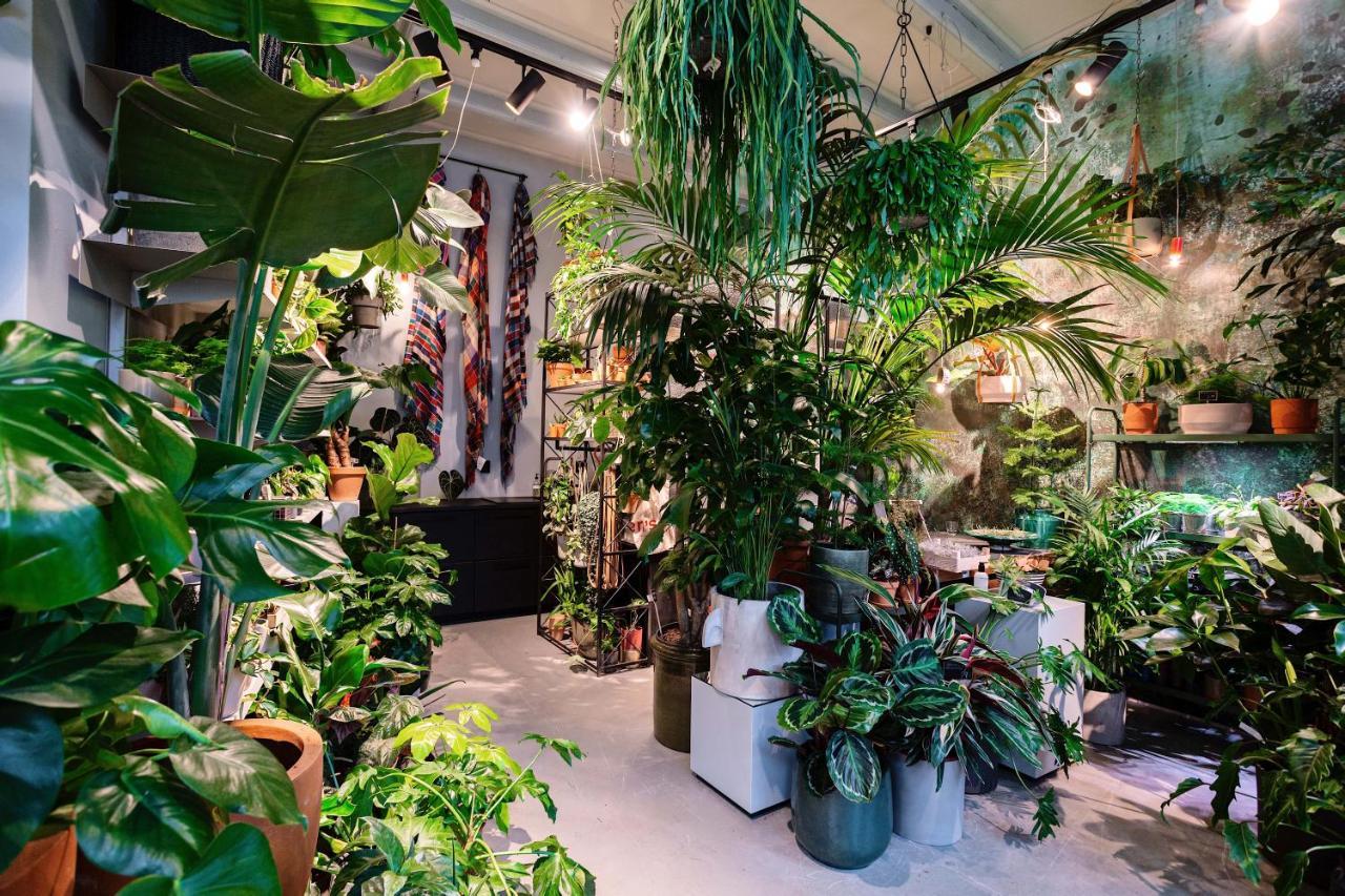Hotel Daen's Greenhouse